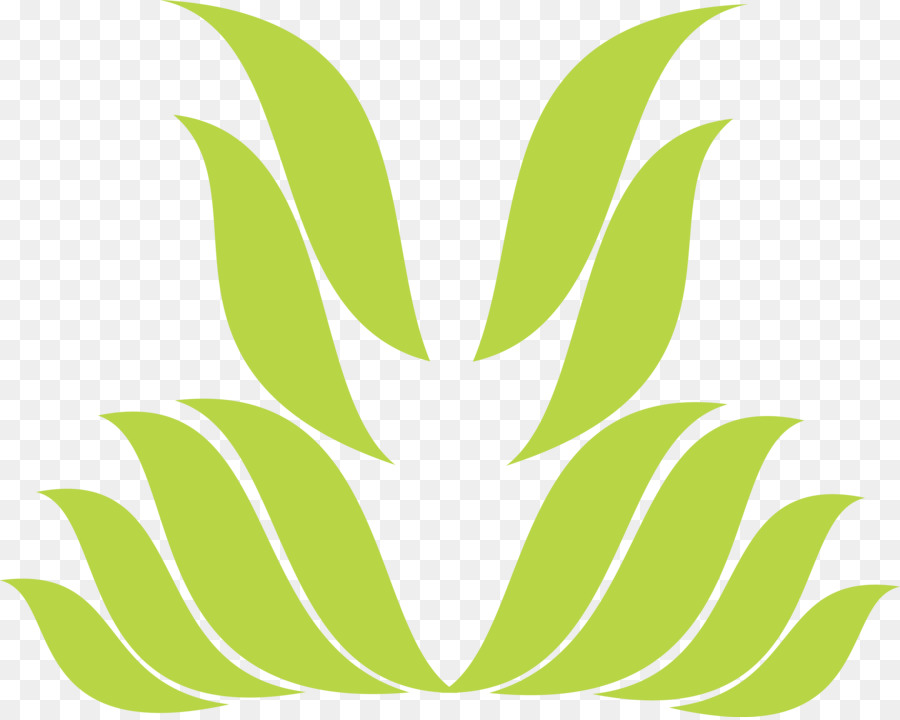 Folhas，Plantas PNG