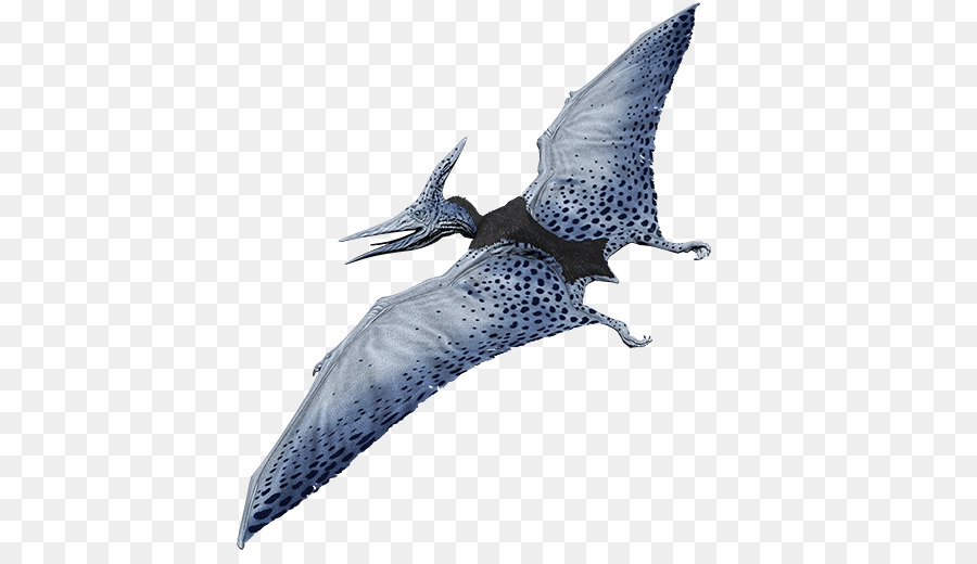 Pteranodon，Primal Carnage PNG