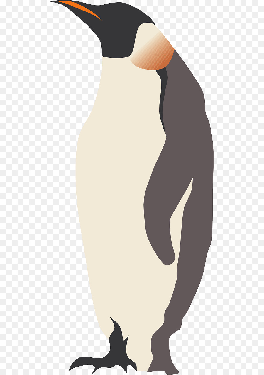 Pinguim，Pássaro PNG