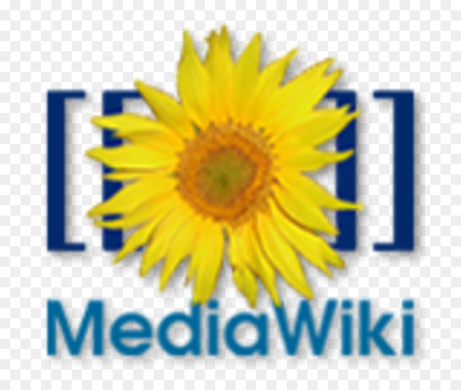 O Mediawiki，Software Wiki PNG