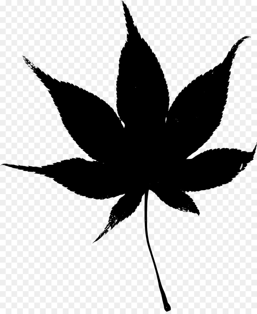 Leaf，Japanese Maple PNG