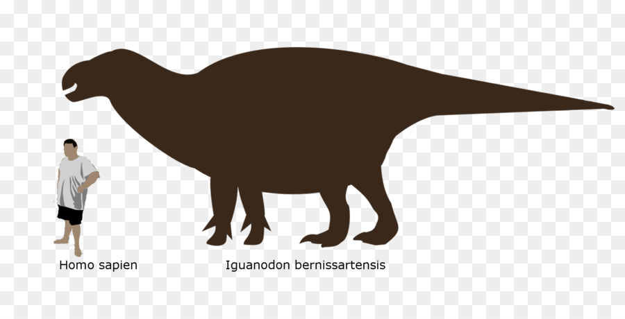 Dinossauro，Triceratops PNG