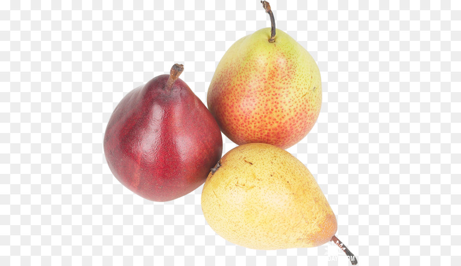 Pêra，Acessório De Frutas PNG