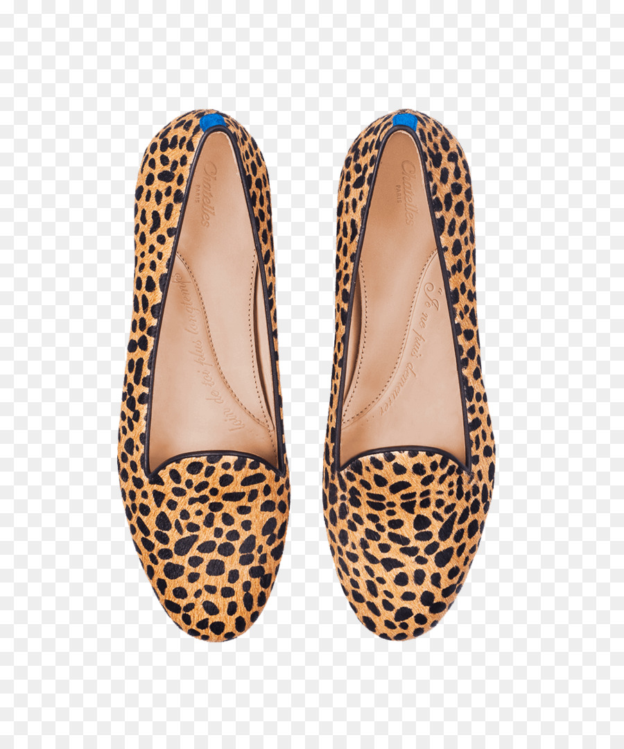 Chinelo，Sapato PNG