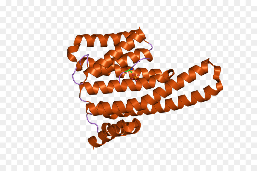 Estrutura Proteica，Biologia PNG