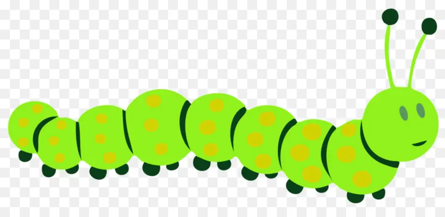 Very Hungry Caterpillar，Caterpillar PNG