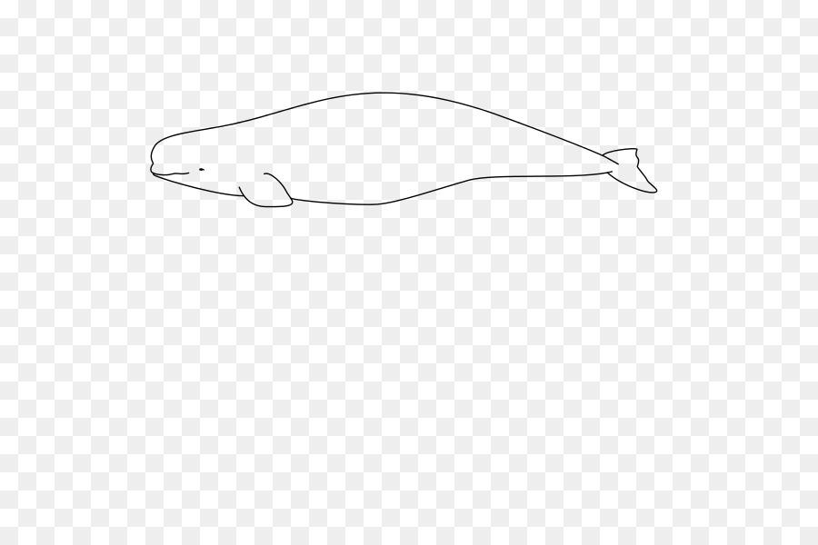 Baleia Beluga，ártico PNG