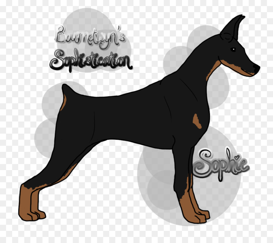 Dobermann，Pinscher Miniatura PNG