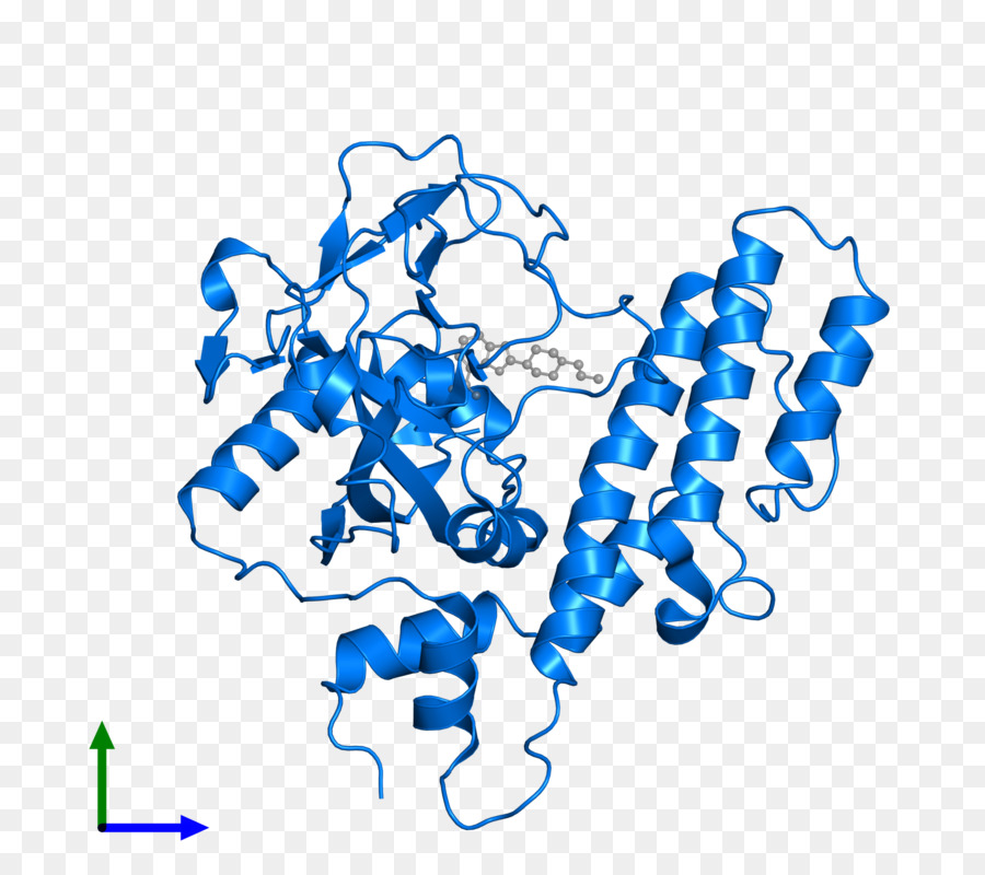 Estrutura Proteica，Molécula PNG