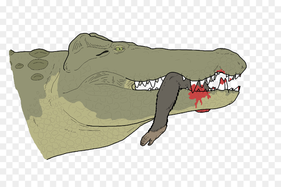 Crocodilos，Crocodylus Anthropophagus PNG