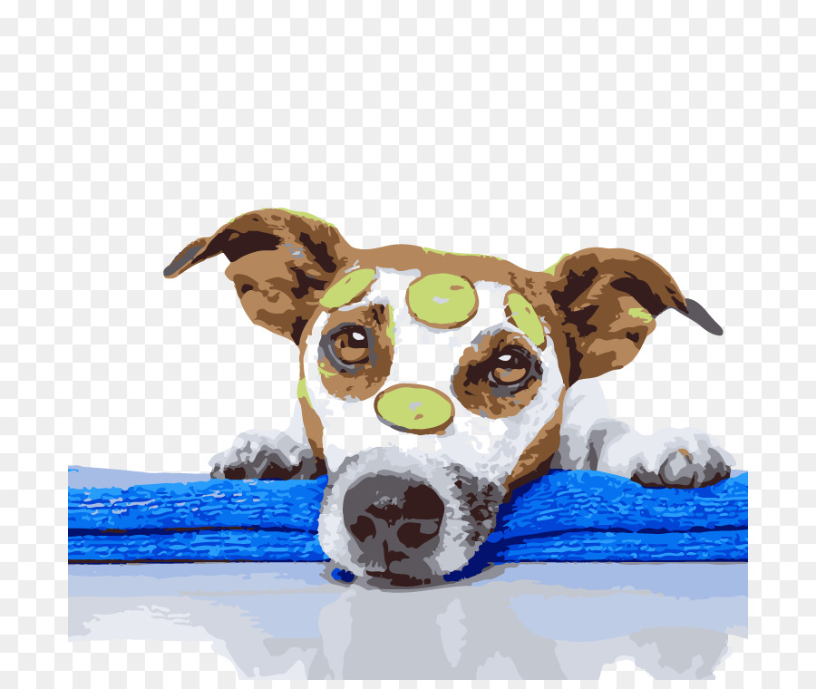 Cachorro，Spa PNG