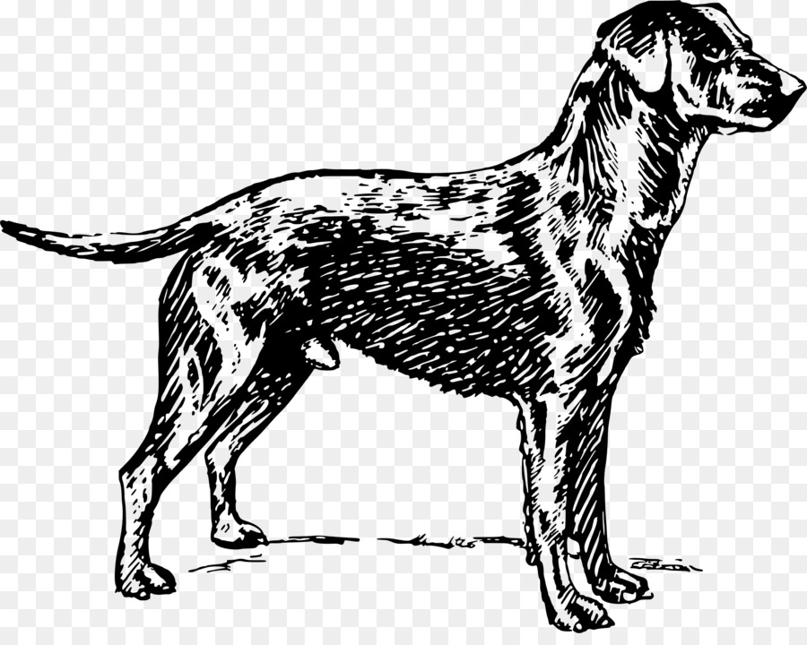 Raça Do Cão，Destin PNG