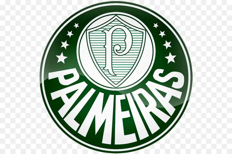 Sociedade Esportiva Palmeiras，América Futebol Clube Minas Gerais PNG