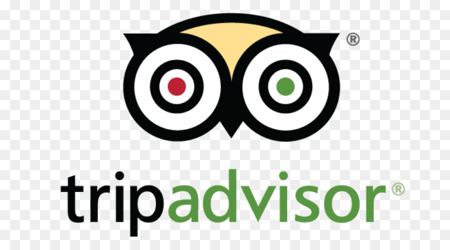 Logotipo Do Tripadvisor，Coruja PNG