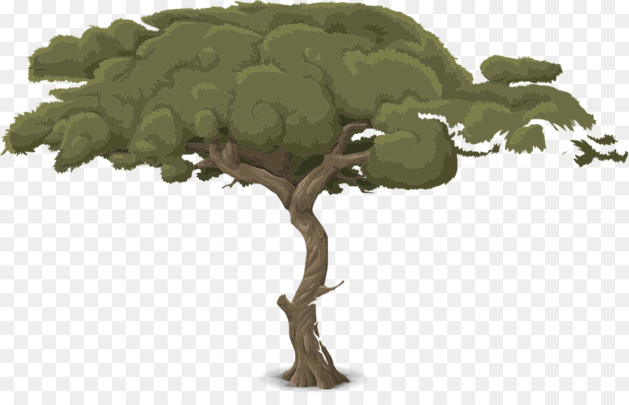 Animaatio，árvore PNG