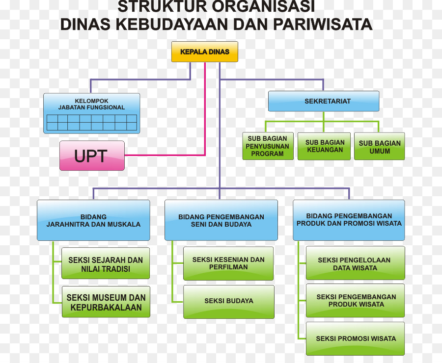 Dinas Pariwisata，Organização PNG