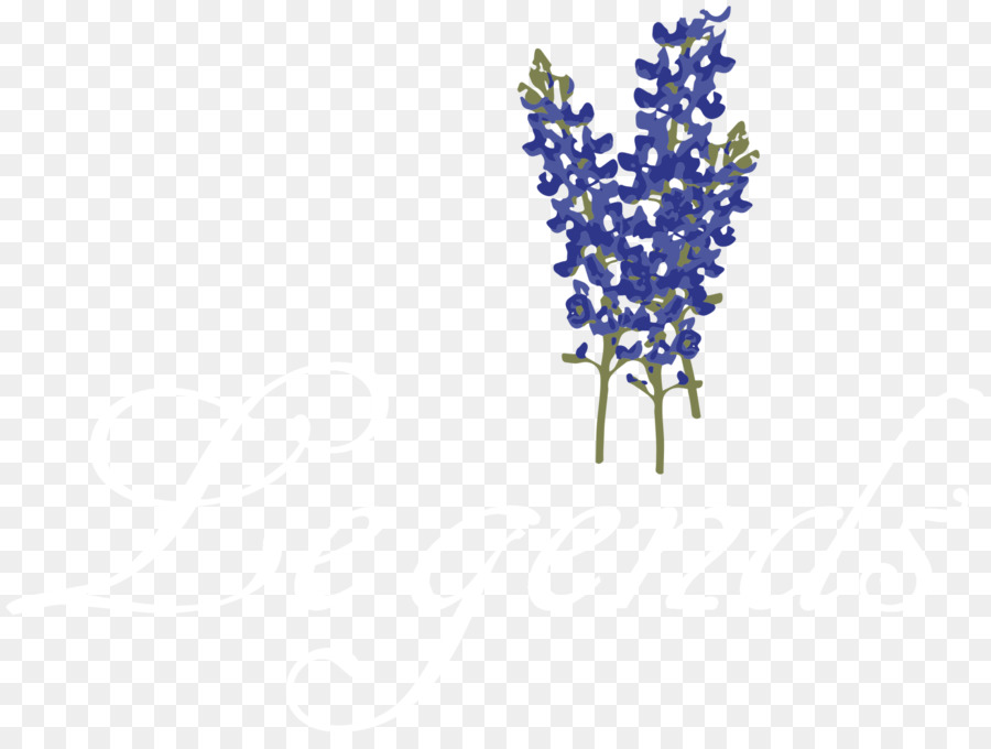 Lavanda，A Jóia Do Corpo PNG