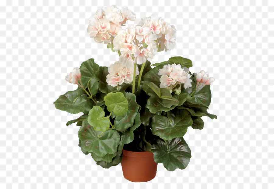 Guindaste Sbill，Flowerpot PNG