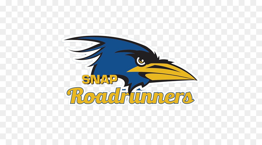 Mascote Dos Roadrunners，Roadrunners PNG