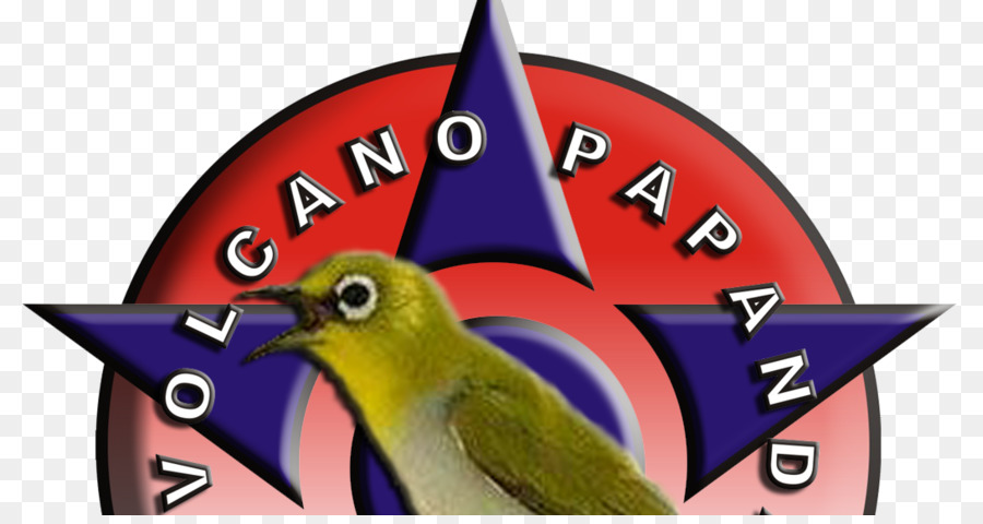 Bico，Típico Whiteeyes PNG