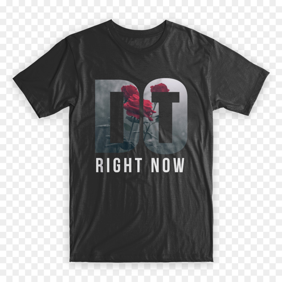 Tshirt，Vestuário PNG