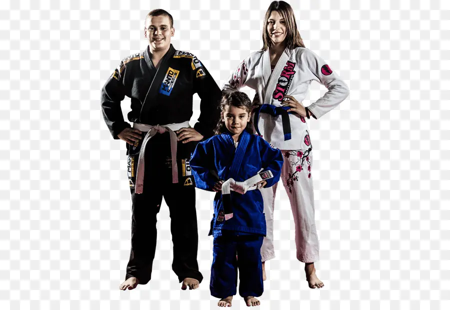 Família De Artes Marciais，Artes Marciais PNG