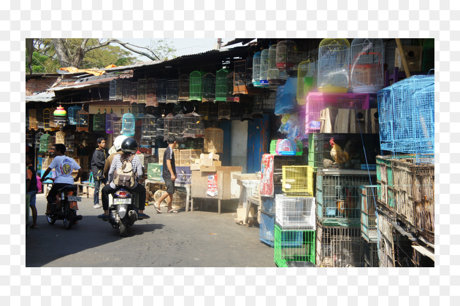 Comida De Rua，Bazar PNG