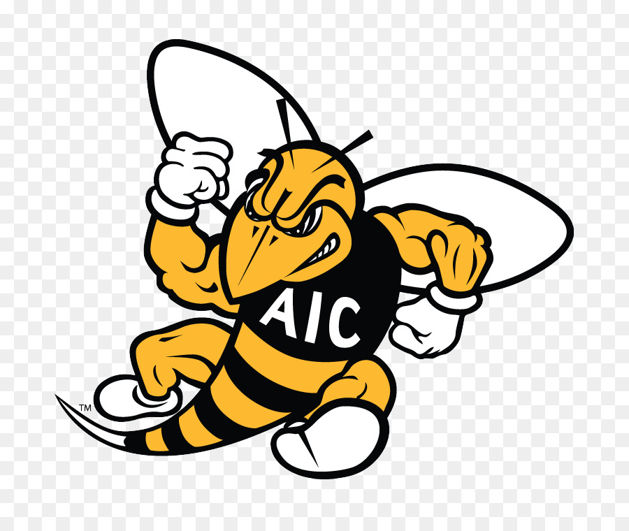 American International College，American International Amarelo Casacos De Futebol PNG