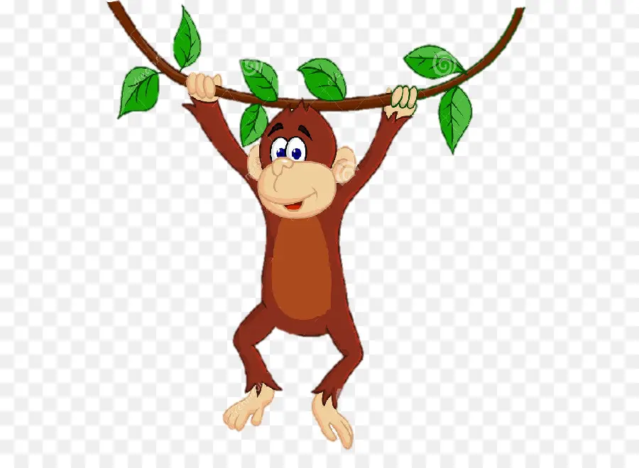 Macaco，Filial PNG