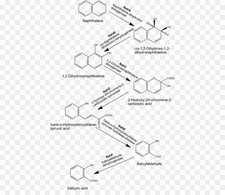 Naftaleno，Teor De Hidrocarbonetos Aromáticos Policíclicos PNG