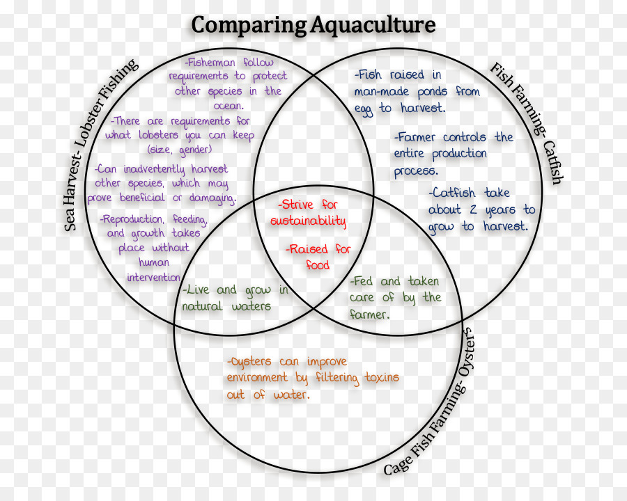 Comparação De Aquicultura，Diagrama De Venn PNG