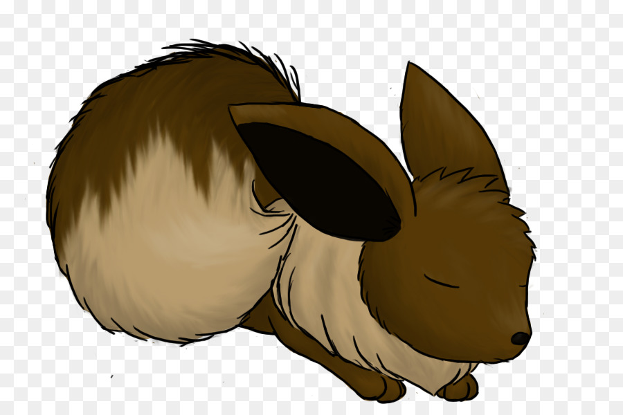 Coelhos，Lebre PNG