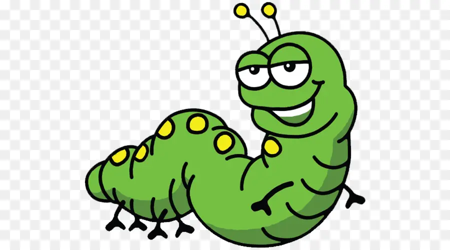 Caterpillar，Worm PNG