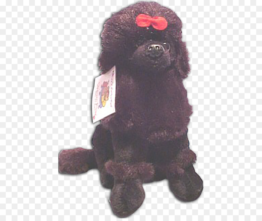 Padrão De Poodle，Irish Water Spaniel PNG