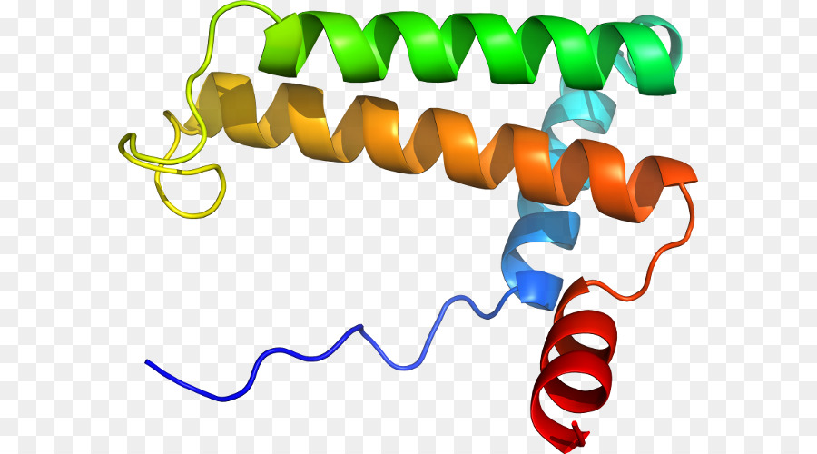 Hélice De Proteína，Molécula PNG