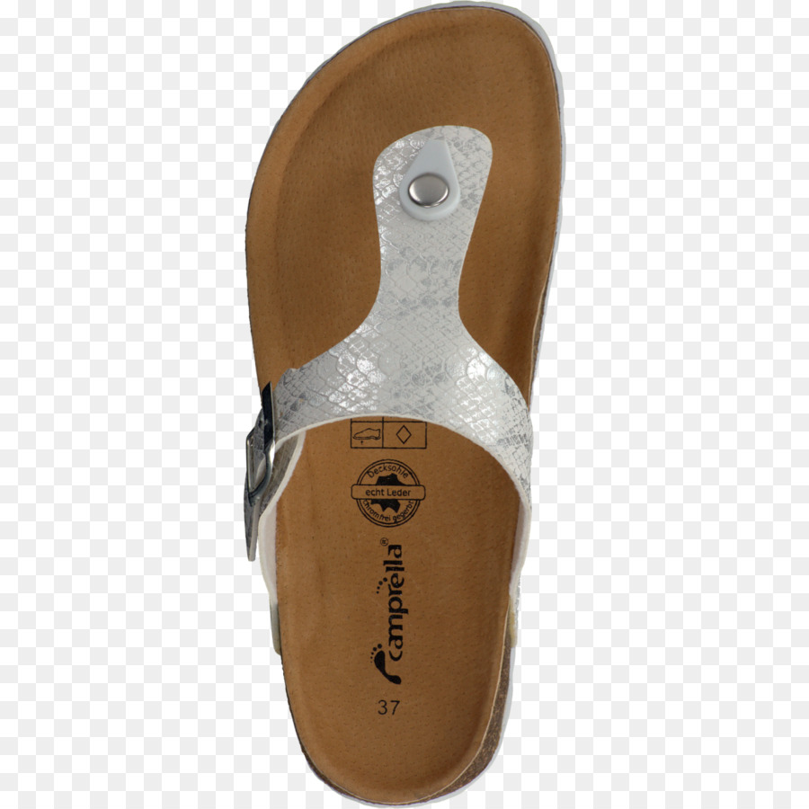 Sapato，Flip Flops PNG