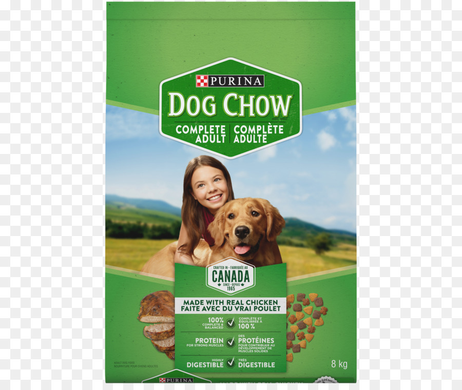 Filhote De Cachorro，Chow Chow PNG