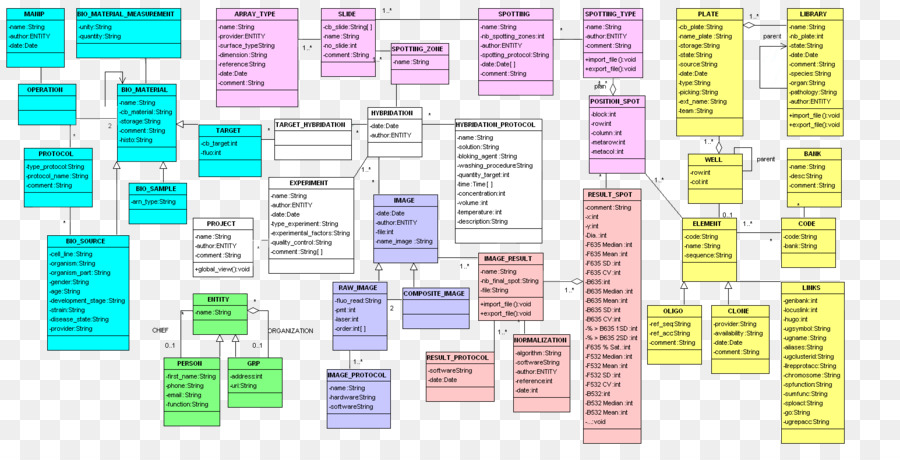 árvore Genealógica，Genealogia PNG