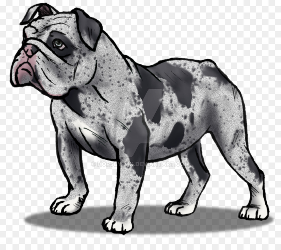 Brinquedo Bulldog，Dorset Olde Tyme Bulldogge PNG