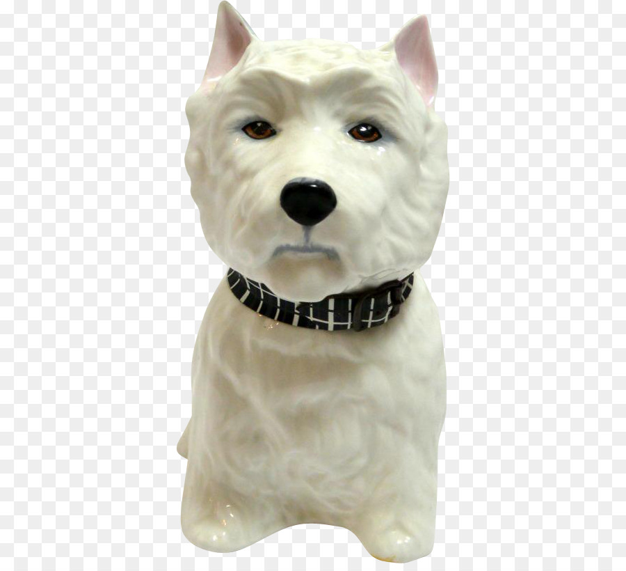 West Highland White Terrier，Raça Do Cão PNG