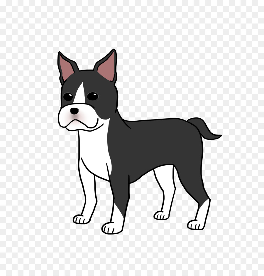 Boston Terrier，Bicho De Estimação PNG