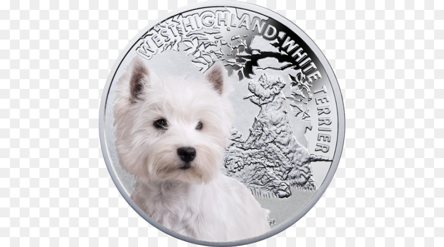 Terrier Branco Das Montanhas Ocidentais，Cachorro PNG