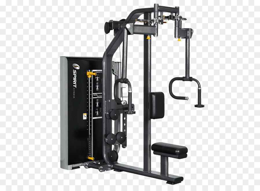 Equipamento De Ginástica，Exercício PNG