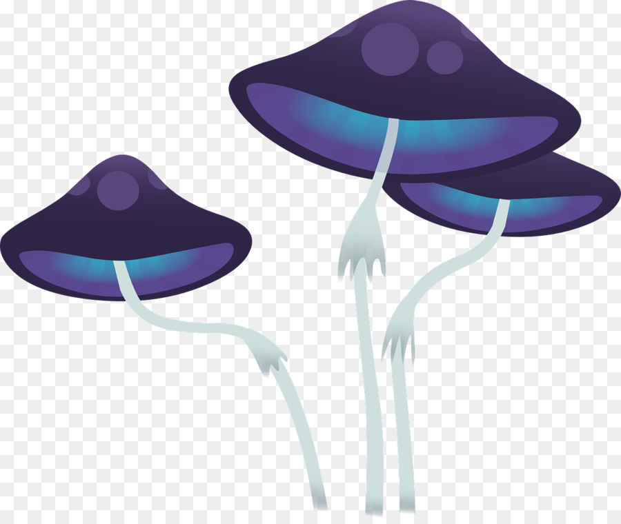 Clitocybe Acromelalga，Fungo PNG