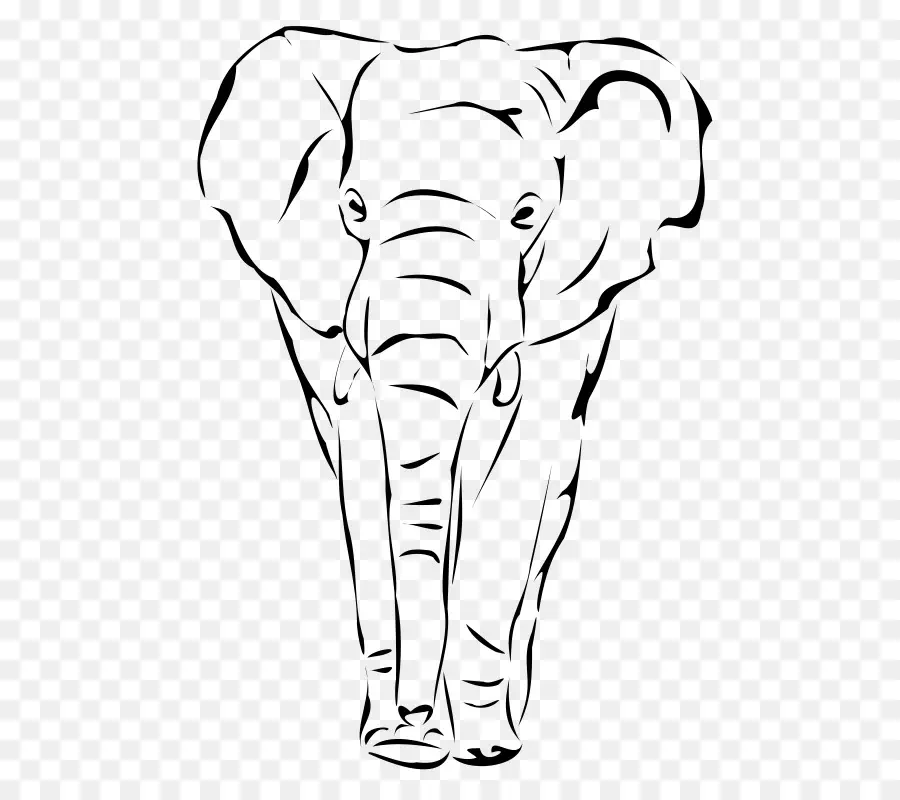 Elefante Africano，Elephantidae PNG