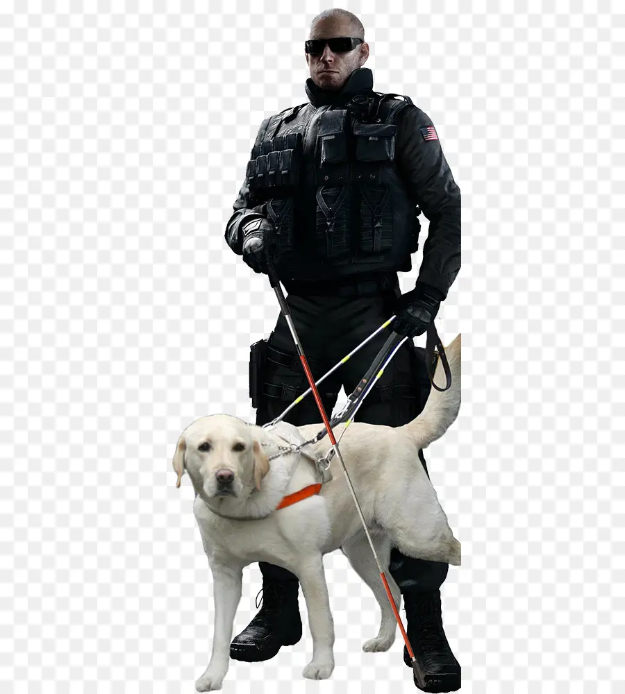 Homem Com Cão Guia，Cão Guia PNG