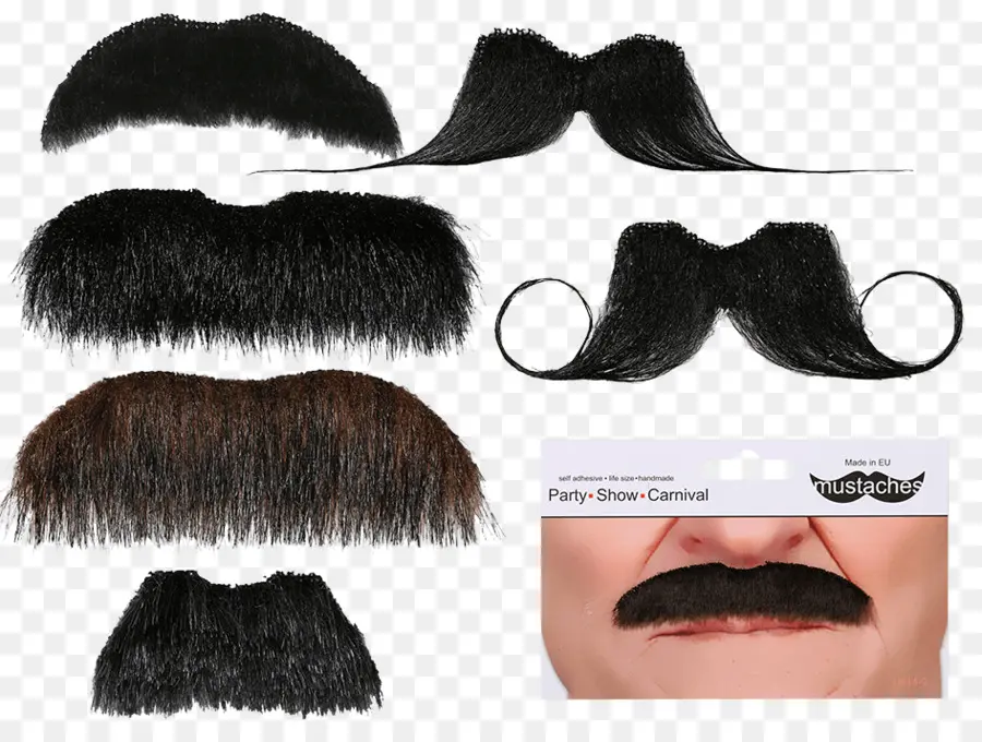 Bigodes Falsos，Fantasia PNG