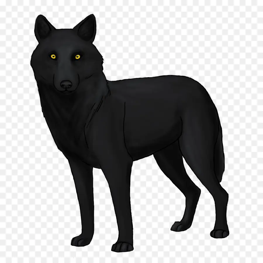 Lobo Negro，Canino PNG