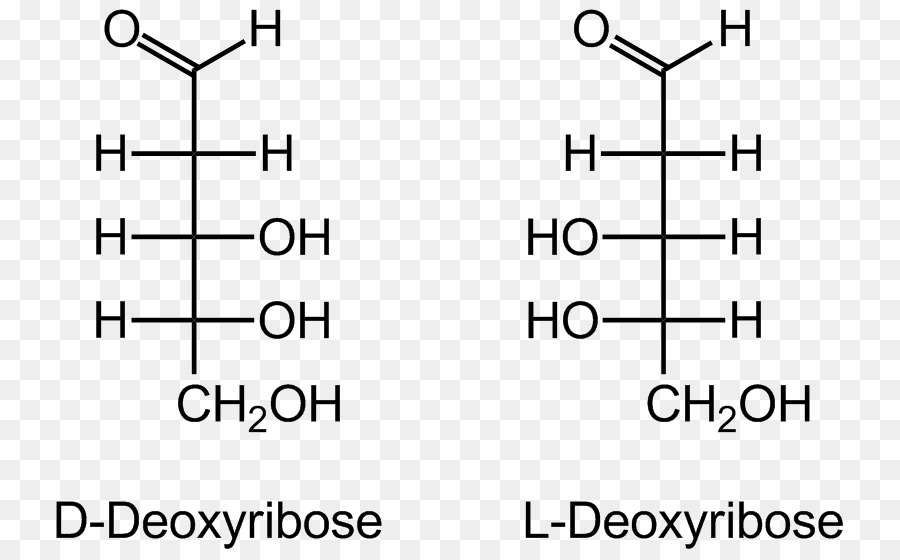 Hidratos De Carbono，Imipramine PNG