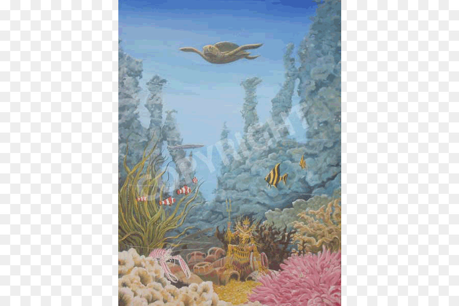 Recife De Coral，Biologia Marinha PNG